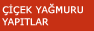 iek yamuru yaptlar